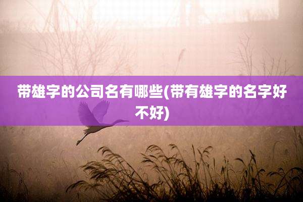 带雄字的公司名有哪些(带有雄字的名字好不好)