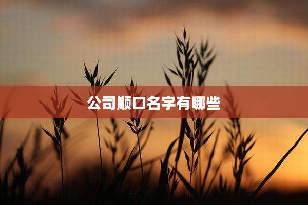 公司顺口名字有哪些