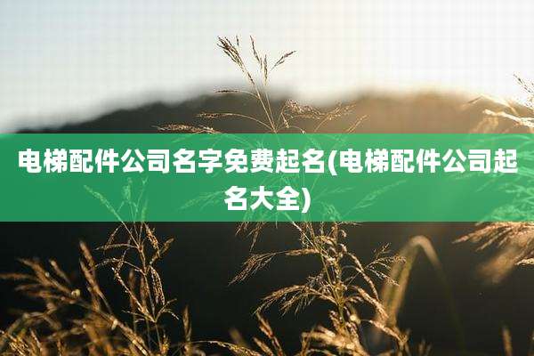 电梯配件公司名字免费起名(电梯配件公司起名大全)