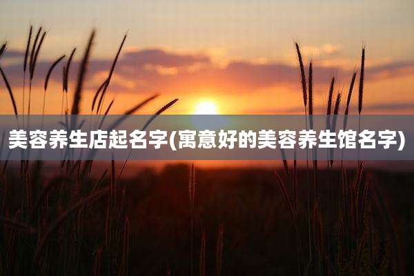 美容养生店起名字(寓意好的美容养生馆名字)