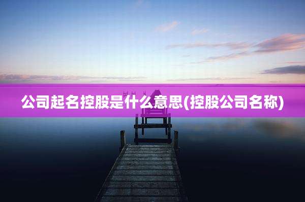 公司起名控股是什么意思(控股公司名称)