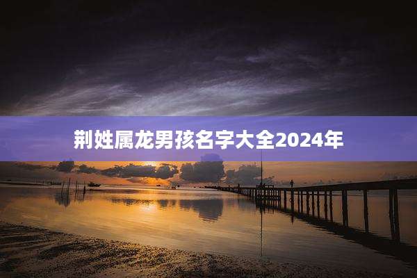 荆姓属龙男孩名字大全2024年