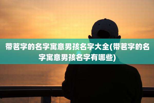 带茗字的名字寓意男孩名字大全(带茗字的名字寓意男孩名字有哪些)