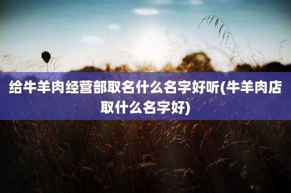 给牛羊肉经营部取名什么名字好听(牛羊肉店取什么名字好)
