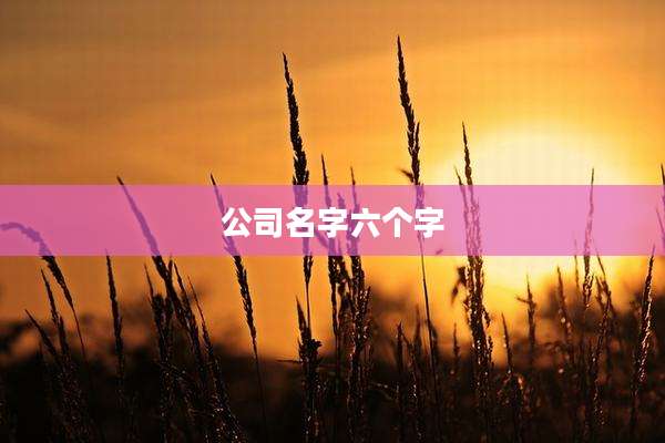 公司名字六个字