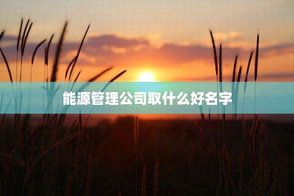 能源管理公司取什么好名字