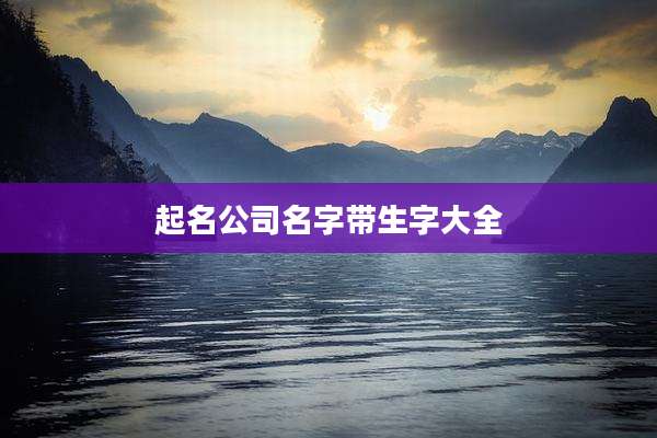 起名公司名字带生字大全