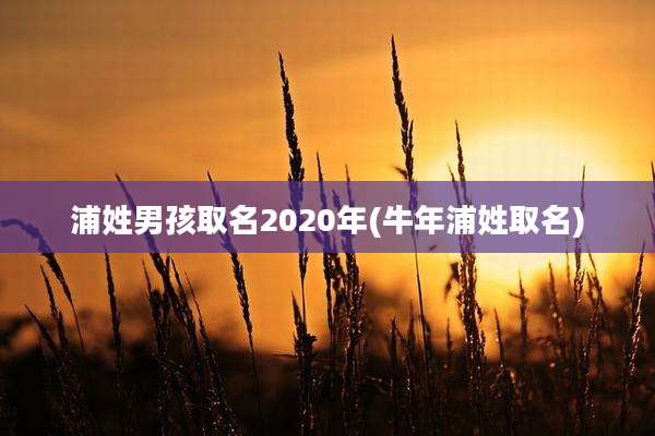 浦姓男孩取名2020年(牛年浦姓取名)