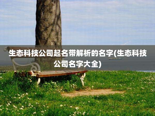 生态科技公司起名带解析的名字(生态科技公司名字大全)