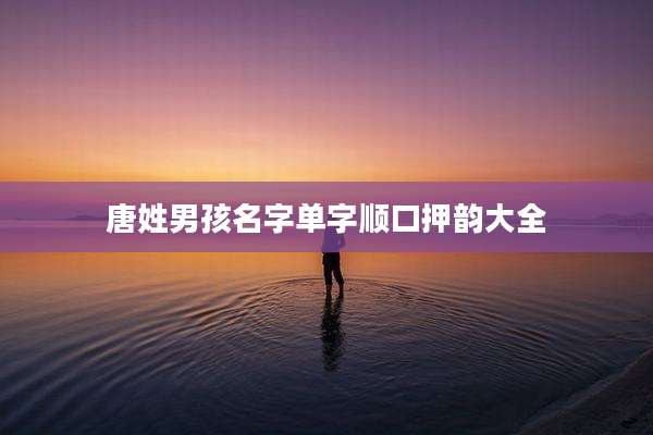 唐姓男孩名字单字顺口押韵大全