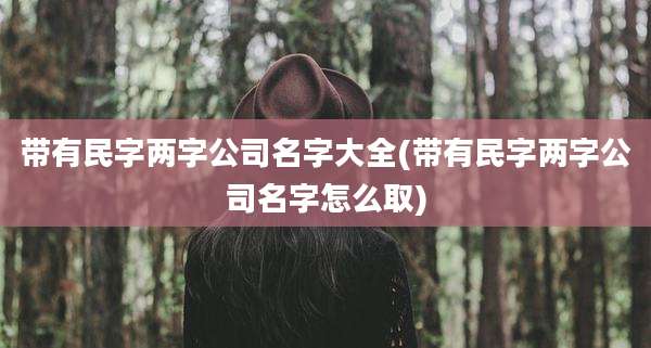 带有民字两字公司名字大全(带有民字两字公司名字怎么取)