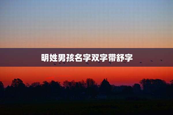 明姓男孩名字双字带舒字