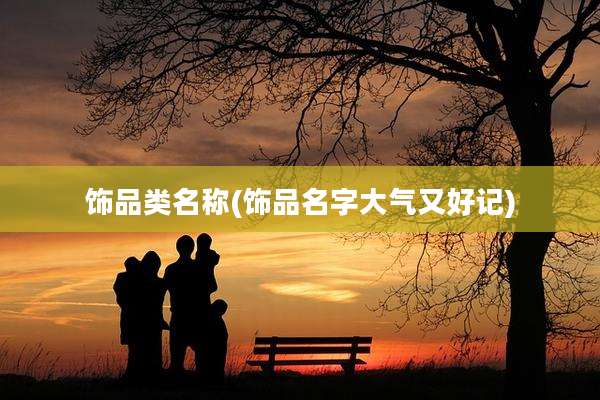 饰品类名称(饰品名字大气又好记)