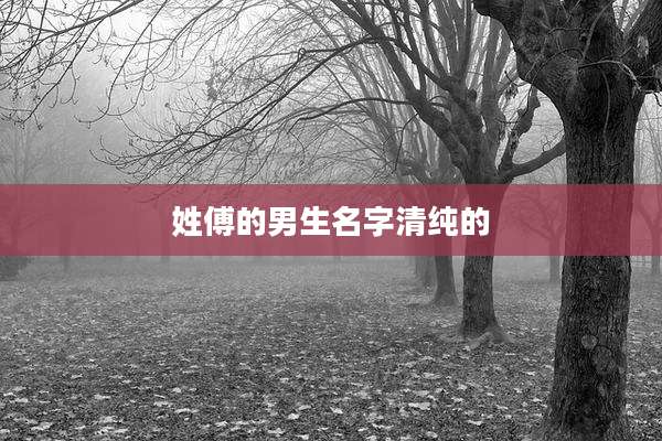 姓傅的男生名字清纯的