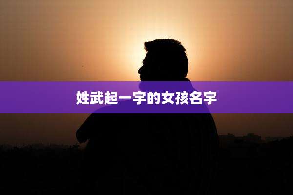 姓武起一字的女孩名字
