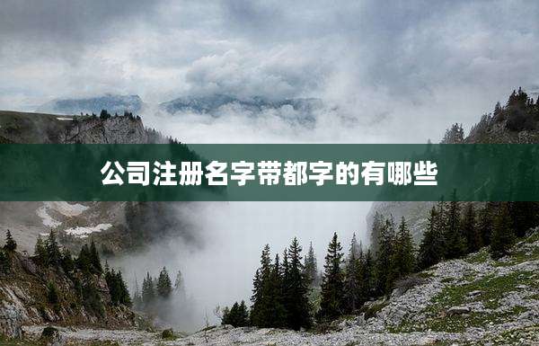 公司注册名字带都字的有哪些
