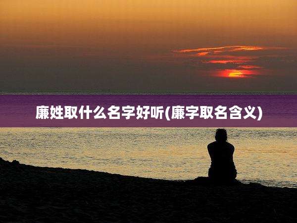 廉姓取什么名字好听(廉字取名含义)
