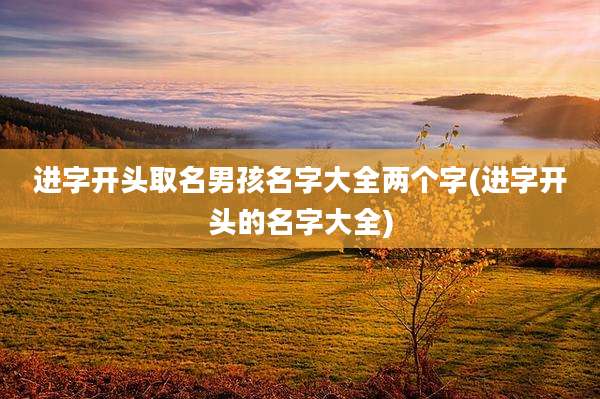 进字开头取名男孩名字大全两个字(进字开头的名字大全)