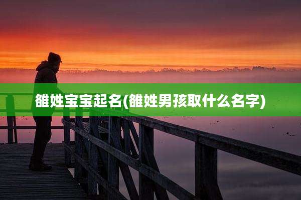 雒姓宝宝起名(雒姓男孩取什么名字)