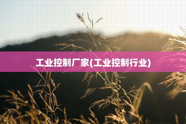 工业控制厂家(工业控制行业)