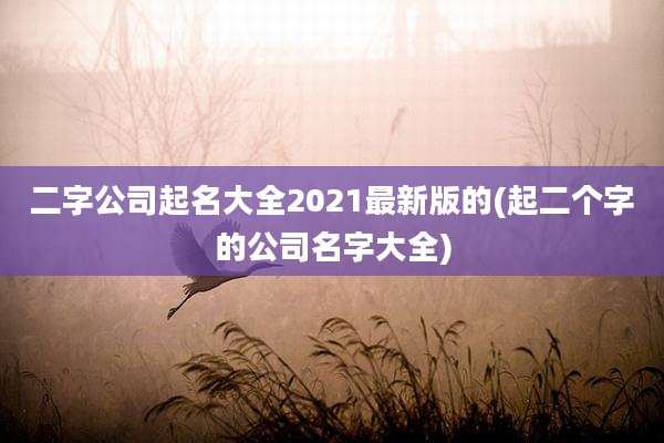 二字公司起名大全2021最新版的(起二个字的公司名字大全)