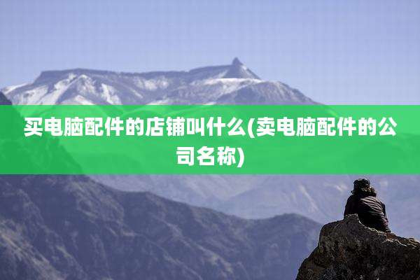 买电脑配件的店铺叫什么(卖电脑配件的公司名称)
