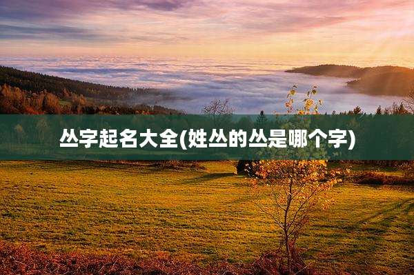 丛字起名大全(姓丛的丛是哪个字)