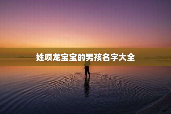 姓项龙宝宝的男孩名字大全