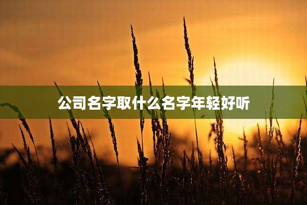公司名字取什么名字年轻好听