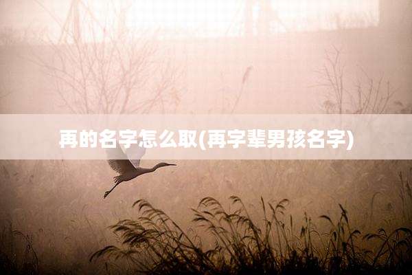 再的名字怎么取(再字辈男孩名字)