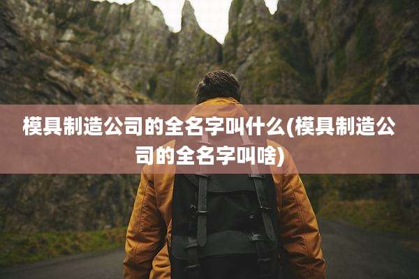 模具制造公司的全名字叫什么(模具制造公司的全名字叫啥)