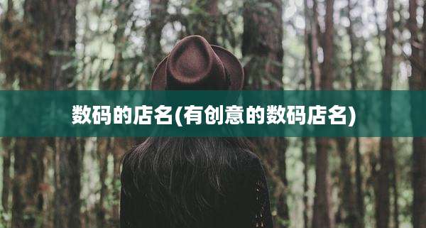 数码的店名(有创意的数码店名)