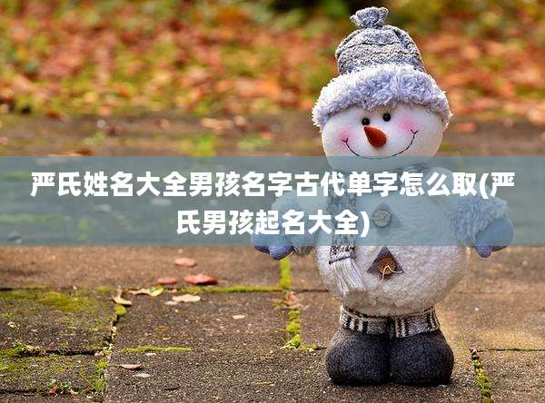 严氏姓名大全男孩名字古代单字怎么取(严氏男孩起名大全)