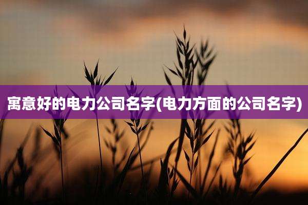 寓意好的电力公司名字(电力方面的公司名字)