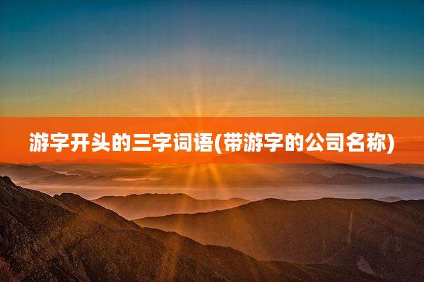 游字开头的三字词语(带游字的公司名称)