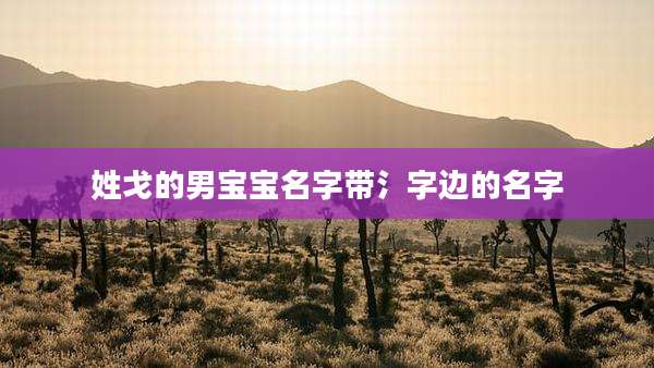 姓戈的男宝宝名字带氵字边的名字