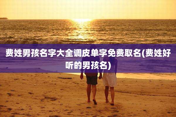 费姓男孩名字大全调皮单字免费取名(费姓好听的男孩名)
