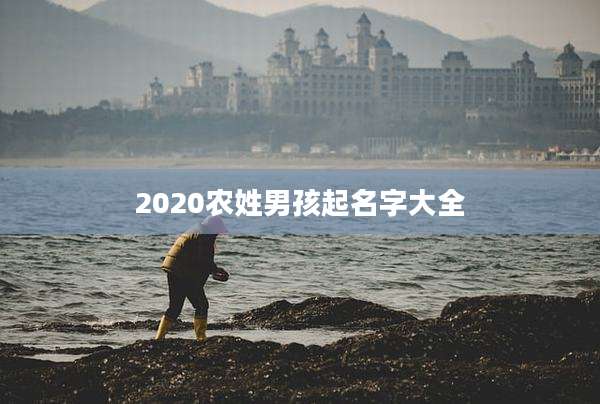 2020农姓男孩起名字大全