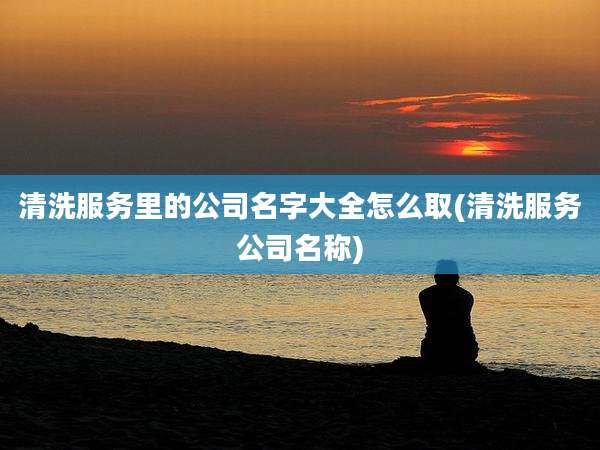 清洗服务里的公司名字大全怎么取(清洗服务公司名称)