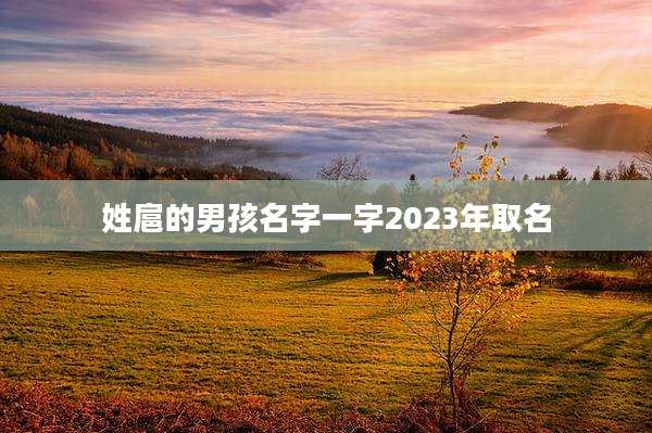 姓扈的男孩名字一字2023年取名