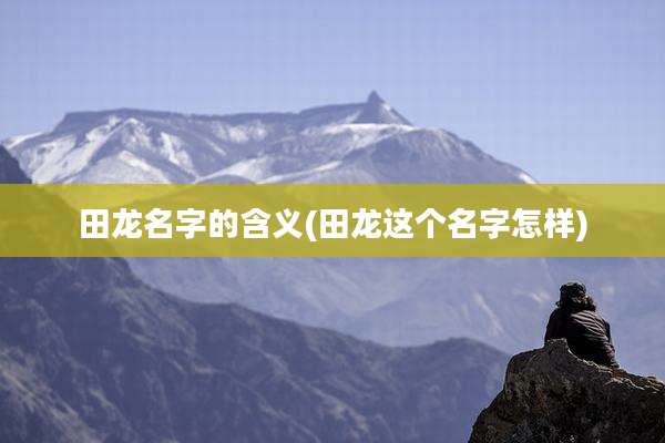 田龙名字的含义(田龙这个名字怎样)