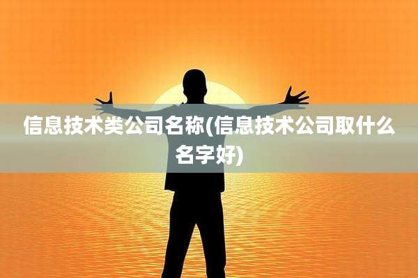 信息技术类公司名称(信息技术公司取什么名字好)
