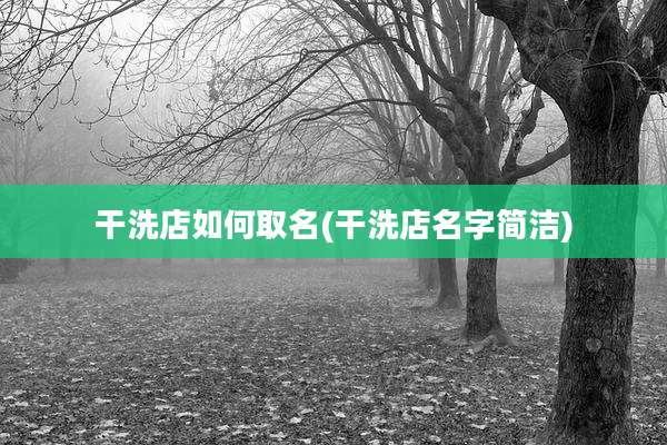 干洗店如何取名(干洗店名字简洁)