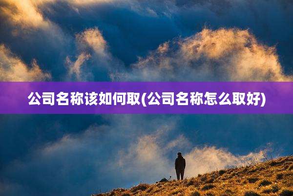 公司名称该如何取(公司名称怎么取好)