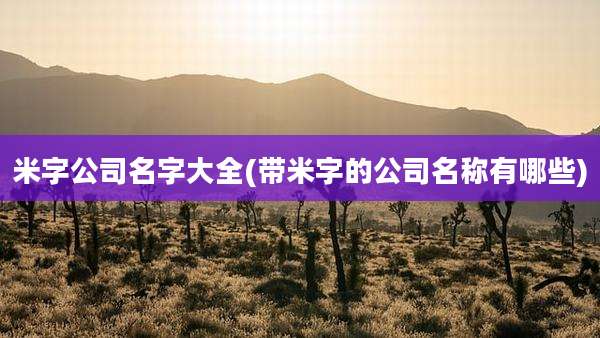 米字公司名字大全(带米字的公司名称有哪些)