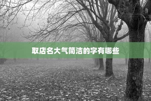 取店名大气简洁的字有哪些