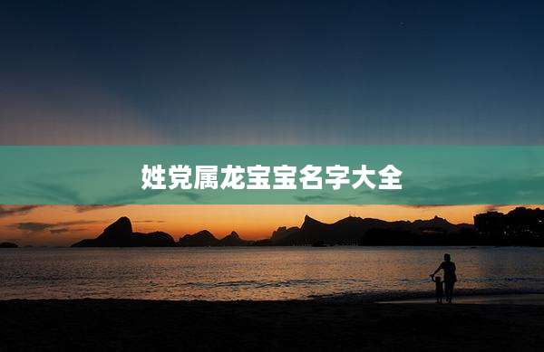 姓党属龙宝宝名字大全