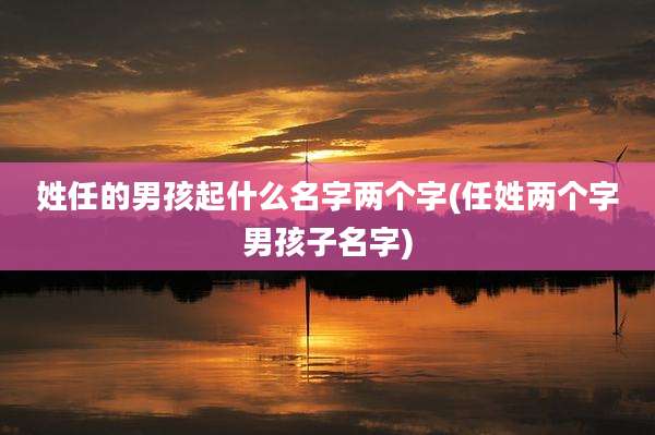姓任的男孩起什么名字两个字(任姓两个字男孩子名字)