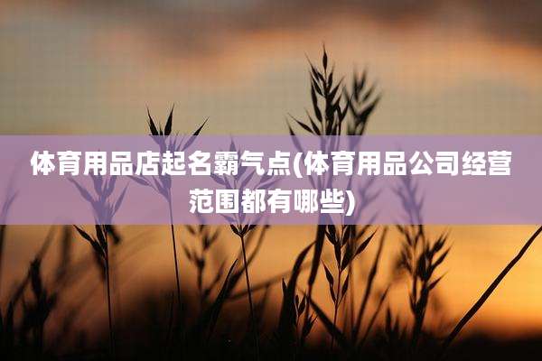 体育用品店起名霸气点(体育用品公司经营范围都有哪些)