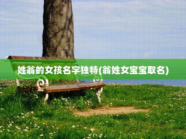 姓翁的女孩名字独特(翁姓女宝宝取名)